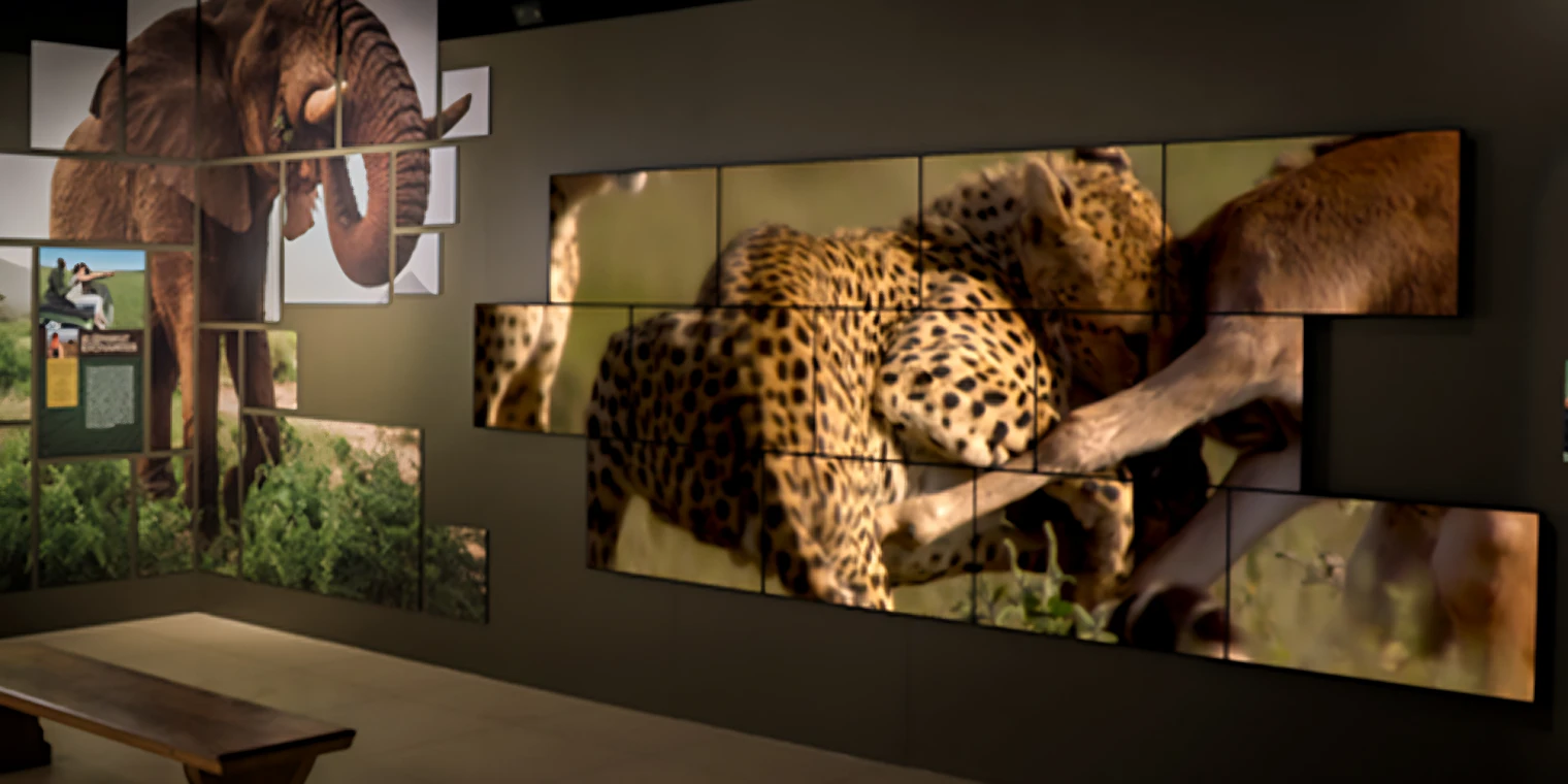 효율적인 운영 및 CMS관리