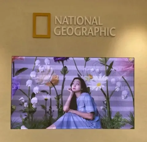 네셔널지오그래픽 김해 진형점 / 김포 장기점 - 이미지 1