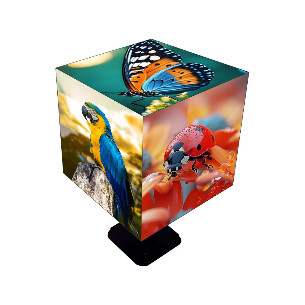 V-COM Cube Outdoor 2